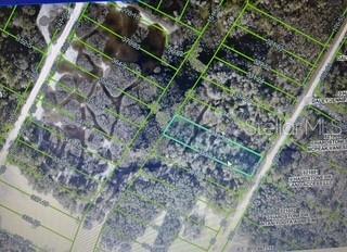 Hardstone Dr, Webster, FL 33597