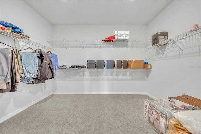 2147 Timber Creek Ln, Clermont, FL 34715 - walk in closet featuring carpet