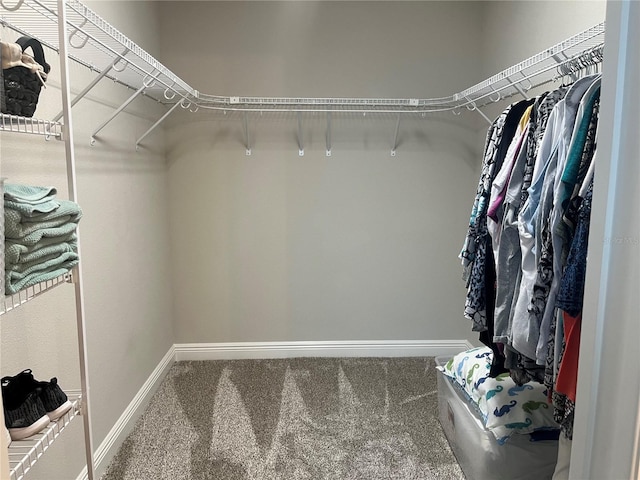 3466 Smedley Rd, The Villages, FL 32163 - spacious closet with carpet floors