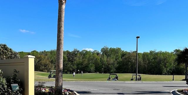 3466 Smedley Rd, The Villages, FL 32163 - view of home's community featuring a lawn