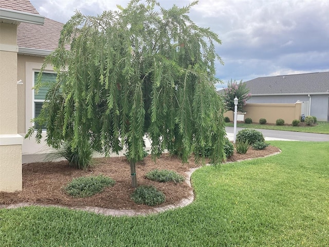 3466 Smedley Rd, The Villages, FL 32163 - view of grassy yard