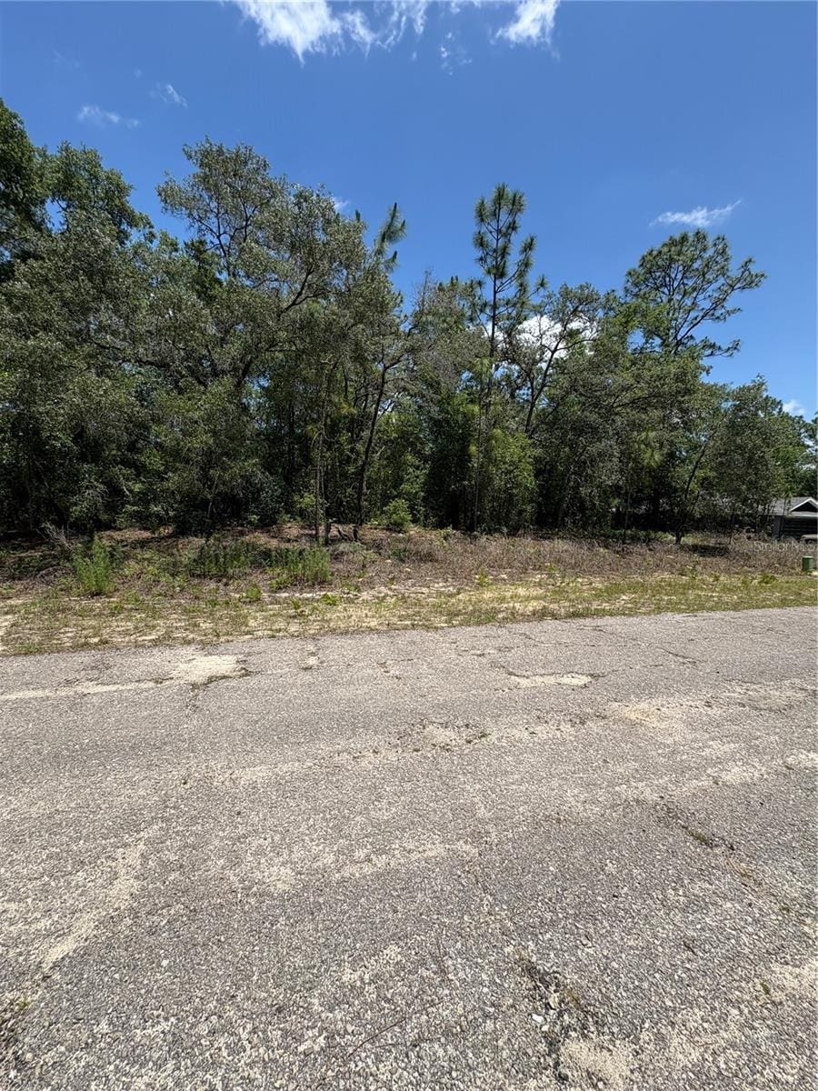 10965 N Mataro Ave, Citrus Springs, FL 34434