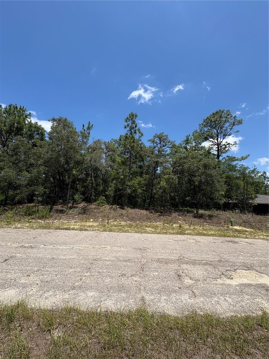 10965 N Mataro Ave, Citrus Springs, FL 34434