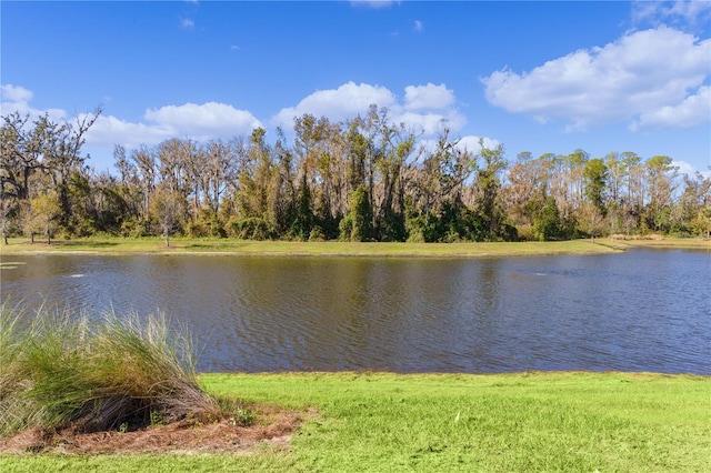 4878 Chitty Chatty Run, The Villages, FL 32163 - photo 68