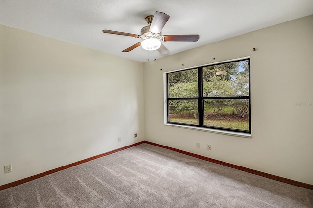 39132 Grays Airport Rd, Lady Lake, FL 32159 - photo 20