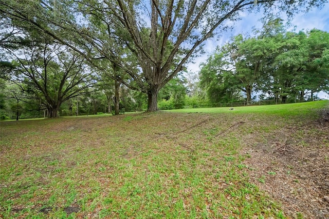 39132 Grays Airport Rd, Lady Lake, FL 32159 - photo 29