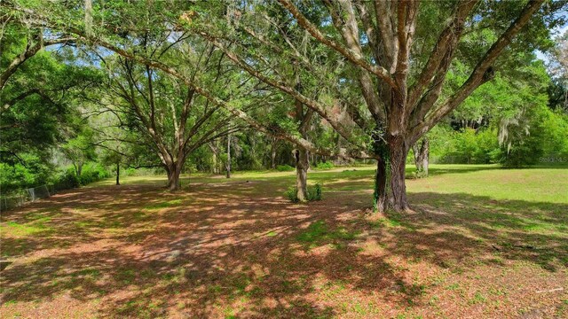 39132 Grays Airport Rd, Lady Lake, FL 32159 - photo 60
