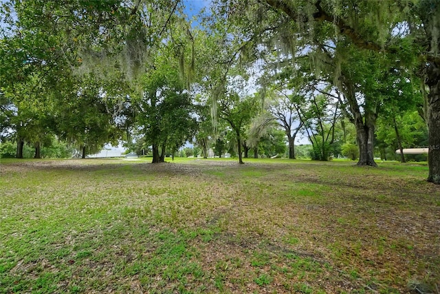 39132 Grays Airport Rd, Lady Lake, FL 32159 - photo 61