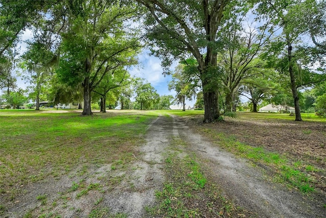 39132 Grays Airport Rd, Lady Lake, FL 32159 - photo 63