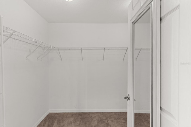 3978 Nottingham Loop, The Villages, FL 32163 - spacious closet featuring carpet floors