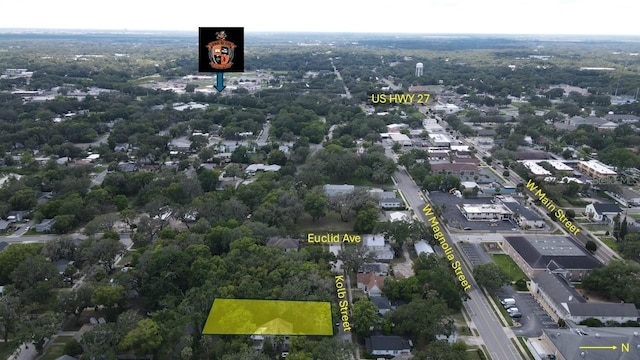 907 Kolb St, Leesburg, FL 34748 - photo 6