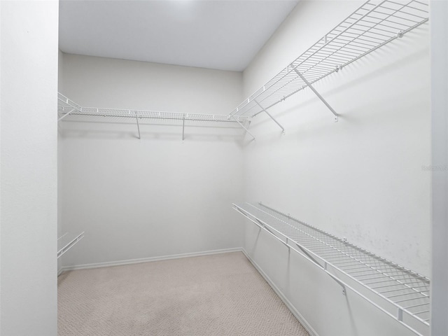 17461 SE 82nd Albemarle Ave, The Villages, FL 32162 - photo 29