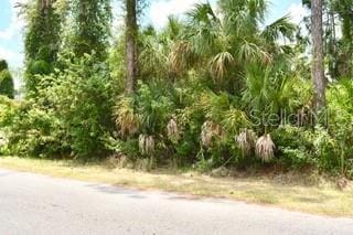Bushnell Ave, North Port, FL 34286