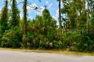 Bushnell Ave, North Port, FL 34286