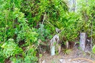 Bushnell Ave, North Port, FL 34286