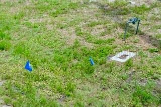 Bushnell Ave, North Port, FL 34286