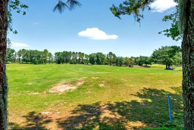27121 White Plains Way, Leesburg, FL 34748 - photo 7