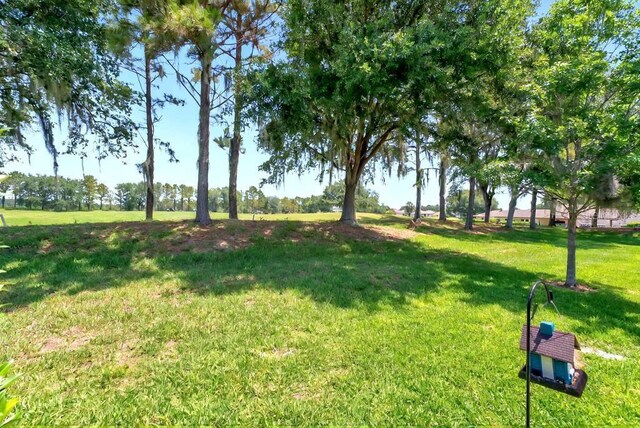 27121 White Plains Way, Leesburg, FL 34748 - photo 8