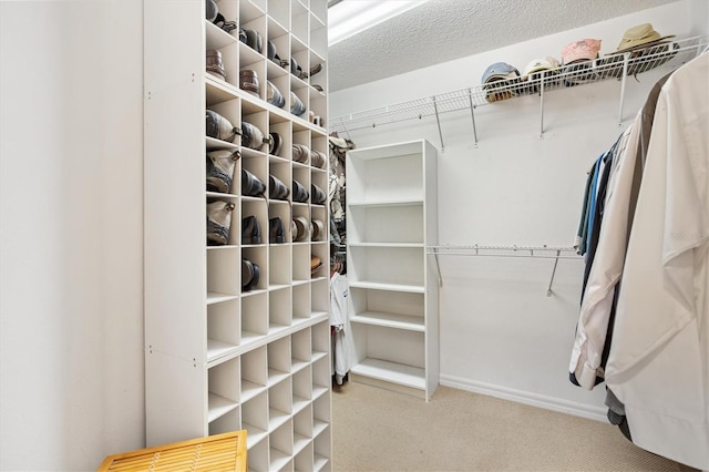 2991 Saint Thomas Ln, The Villages, FL 32162 - walk in closet with carpet