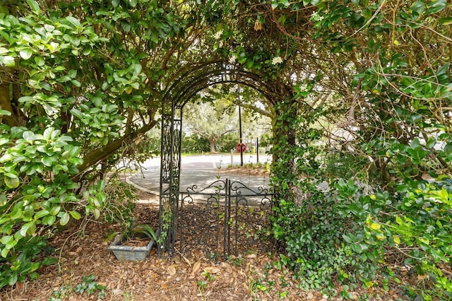 2991 Saint Thomas Ln, The Villages, FL 32162 - view of yard