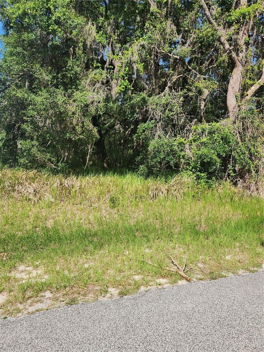 SW 146th Rd SW, Ocala, FL 34473