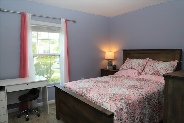 33647 Sky Blossom Cir, Leesburg, FL 34788 - photo 23