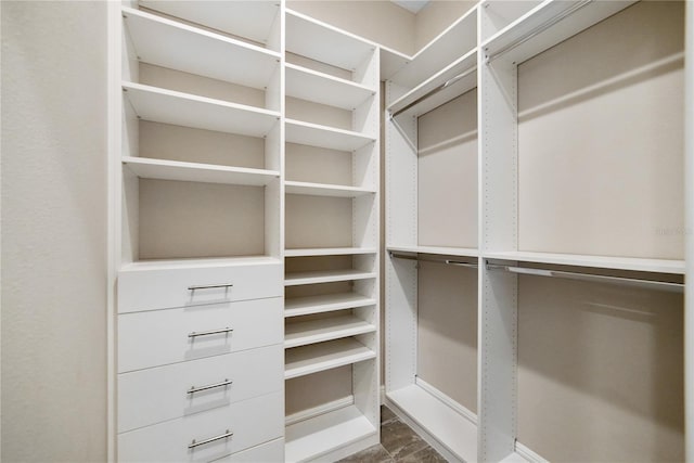 1042 Sugarloaf Key Loop, Lady Lake, FL 32159 - view of spacious closet