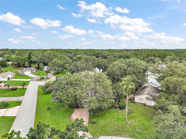24 Brigadoon Cir, Leesburg, FL 34788 - photo 30