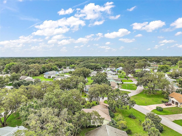 24 Brigadoon Cir, Leesburg, FL 34788 - photo 31