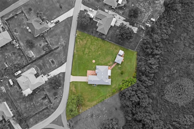 316 Dupont Cir, Howey In The Hills, FL 34737 - bird's eye view