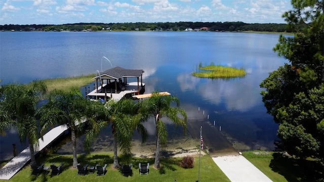 4634 Bigler Ln, Mount Dora, FL 32757 - photo 3
