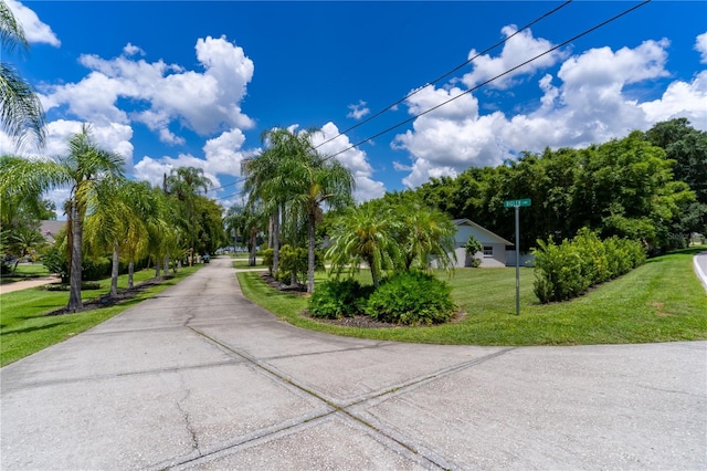 4634 Bigler Ln, Mount Dora, FL 32757 - photo 5
