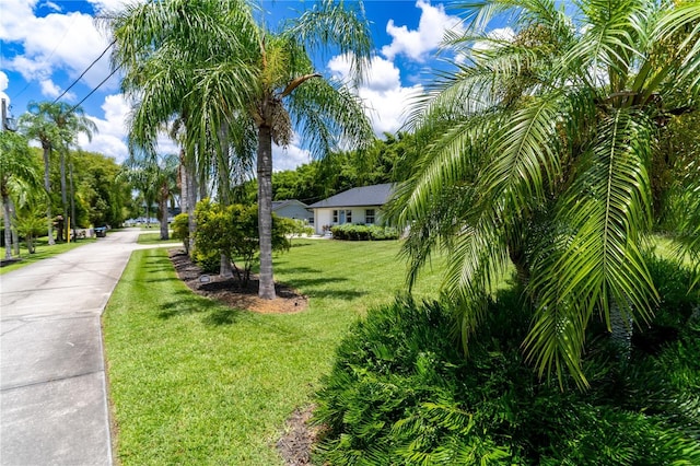 4634 Bigler Ln, Mount Dora, FL 32757 - photo 7