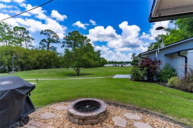 4634 Bigler Ln, Mount Dora, FL 32757 - photo 57