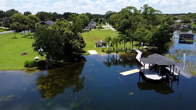 4634 Bigler Ln, Mount Dora, FL 32757 - photo 96
