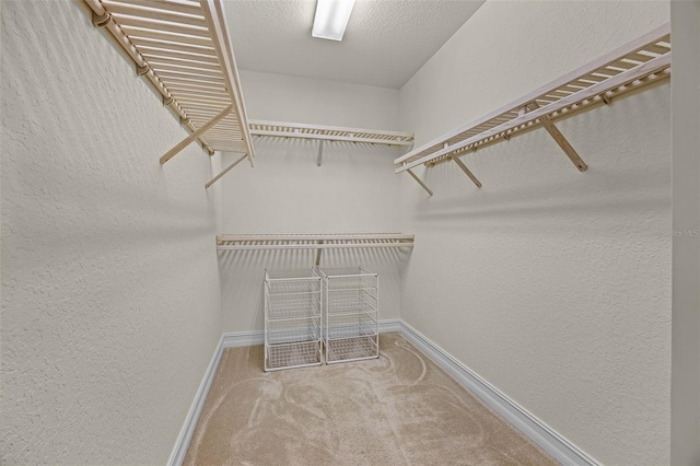 52 Camino Real Blvd, Howey In The Hills, FL 34737 - spacious closet with carpet floors