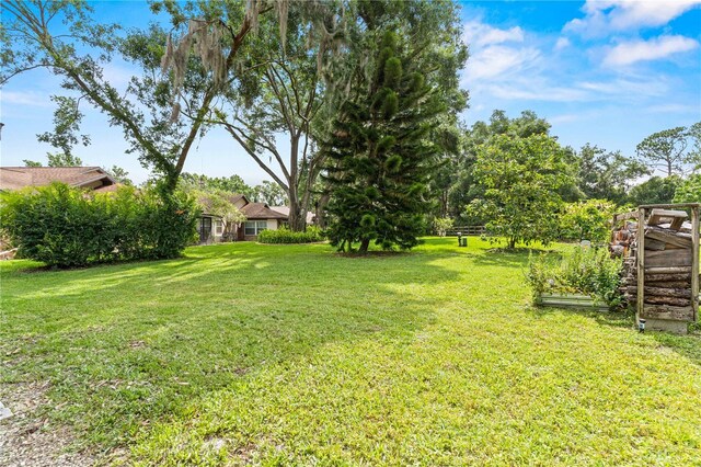 112 Waterwood Dr, Yalaha, FL 34797 - photo 32