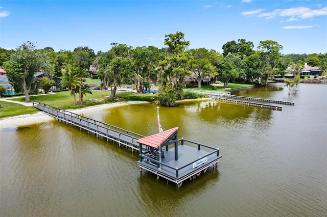 112 Waterwood Dr, Yalaha, FL 34797 - photo 50