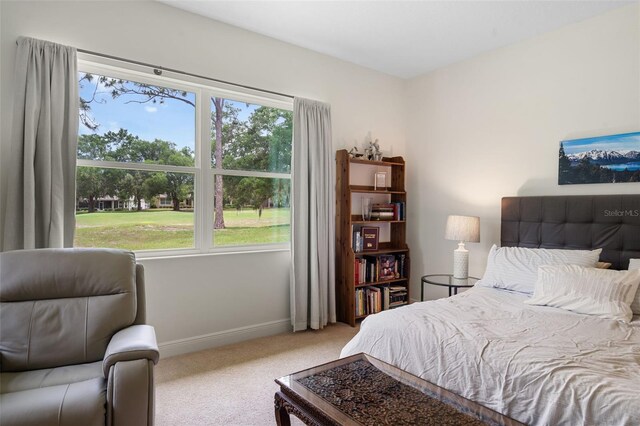 5090 Greens Dr, Lady Lake, FL 32159 - photo 11