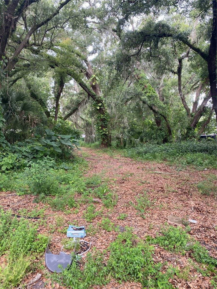 Palmetto, Sanford, FL 32773 - photo 1