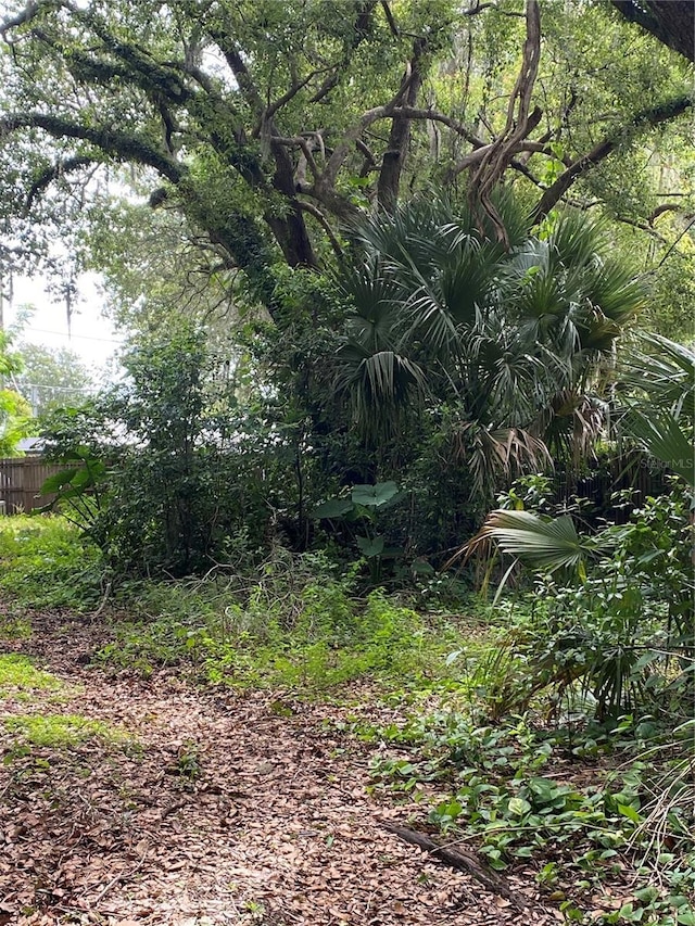 Palmetto, Sanford, FL 32773 - photo 2
