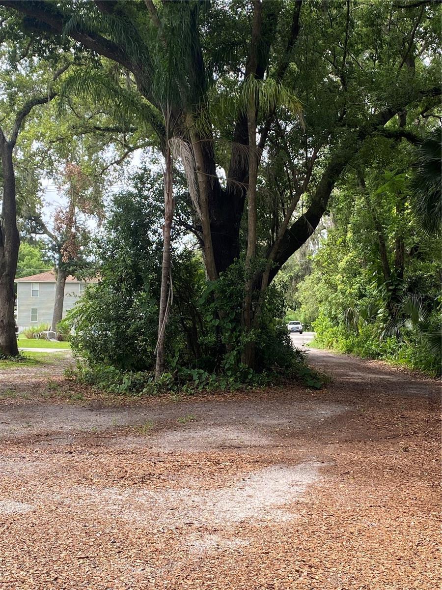 Palmetto, Sanford, FL 32773 - photo 4