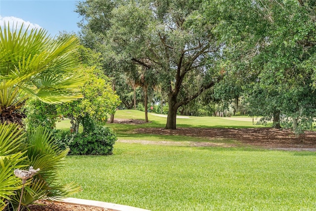 219 Carrera Dr, The Villages, FL 32159 - photo 64