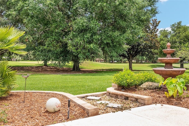 219 Carrera Dr, The Villages, FL 32159 - photo 65