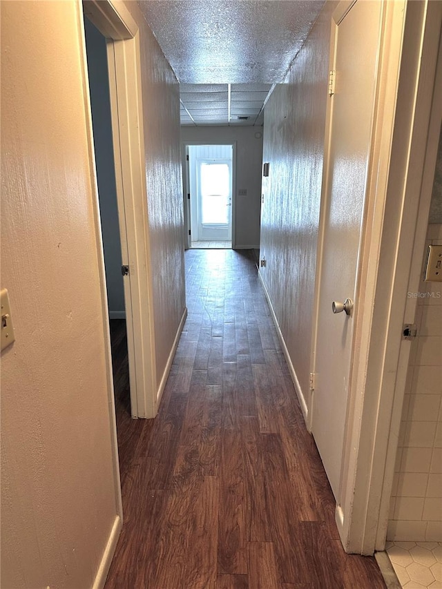 679 Ave Q SE, Winter Haven, FL 33880 - hall featuring wood finished floors and baseboards