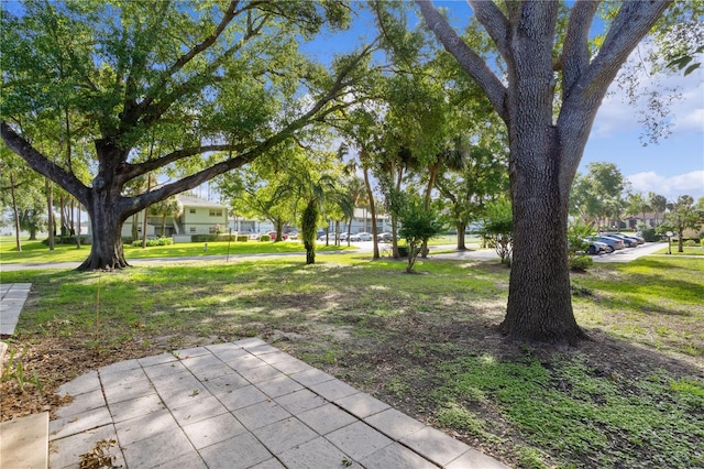 504 Silver Crse Unit A, Ocala, FL 34472 - view of grassy yard
