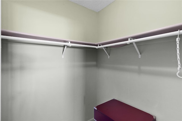 504 Silver Crse Unit A, Ocala, FL 34472 - view of walk in closet