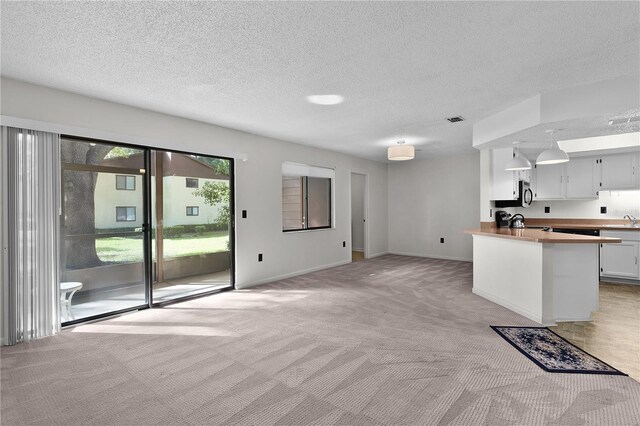 504 Silver Crse Unit A, Ocala, FL 34472 - kitchen with light carpet, a sink, a textured ceiling, baseboards, and light countertops