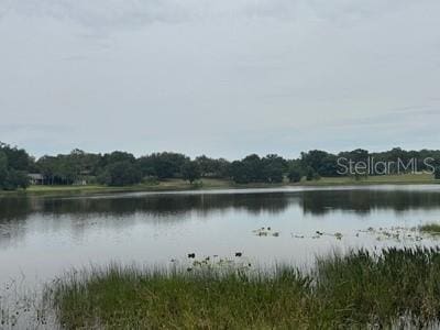 41827 N Emeralda Island Rd, Leesburg, FL 34788 - photo 1