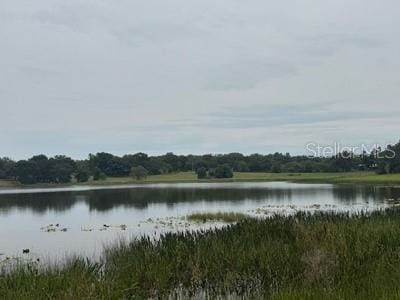 41827 N Emeralda Island Rd, Leesburg, FL 34788 - photo 2